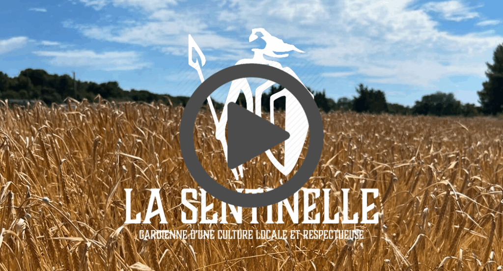 La Sentinelle : la vidéo officielle est enfin là !